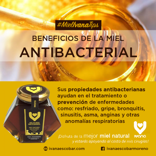 Ivana Miel de Abeja 100% artesanal, cruda y sin filtrar 180ml (E)
