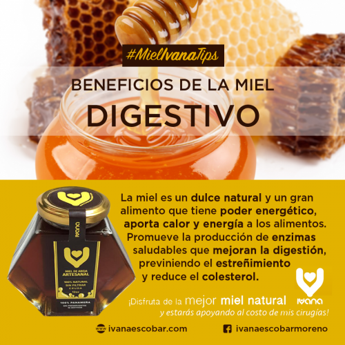 Ivana Miel de Abeja 100% artesanal, cruda y sin filtrar 180ml (E)